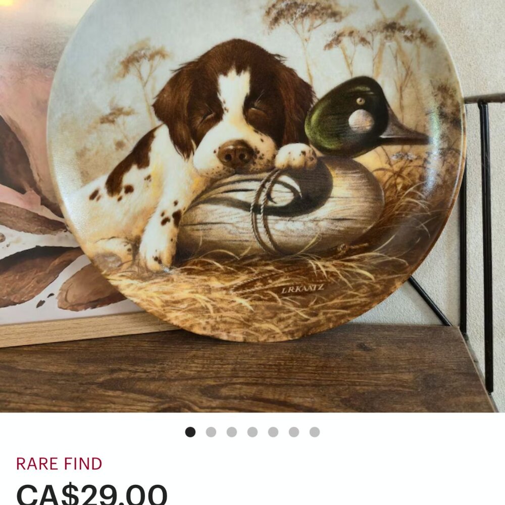 Dog-Tired - The Springer Spaniel by Lynn Kaatz 1987